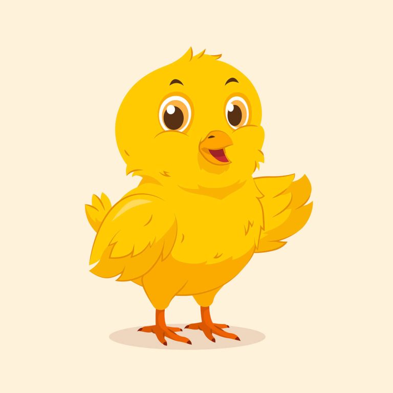 chicken